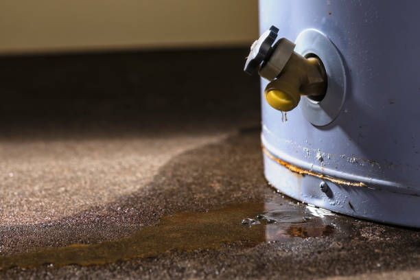 Best Local water damage restoration  in Bethlehem, WV
