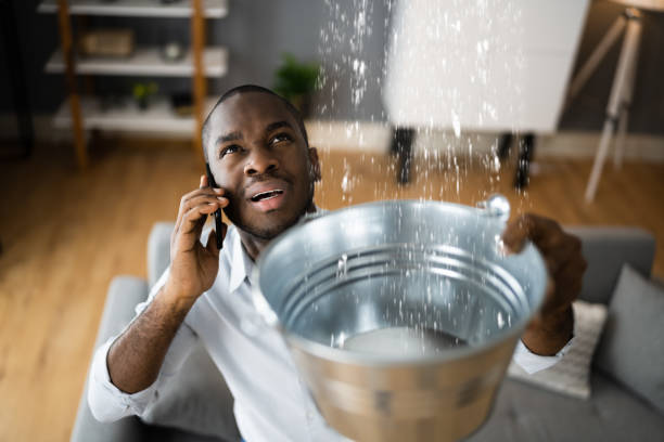 Best Sewage cleanup and water damage restoration  in Bethlehem, WV