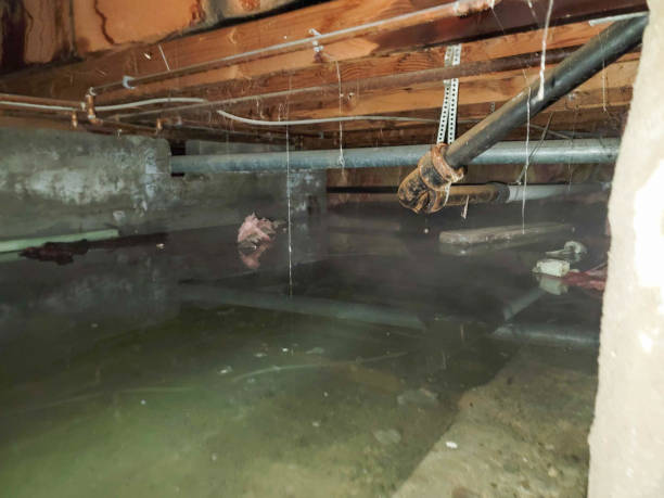 Bethlehem, WV Water damage restoration Company