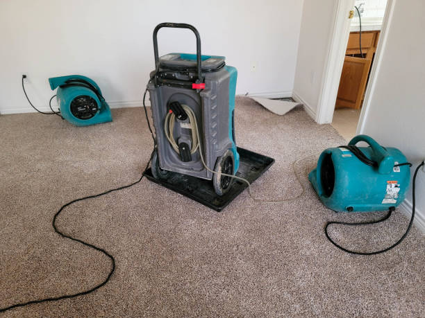 Best Water damage cleanup near me  in Bethlehem, WV