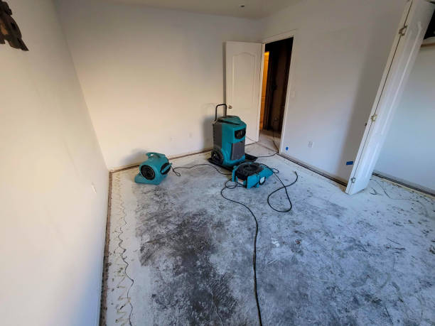 Best Water damage contractors near me  in Bethlehem, WV