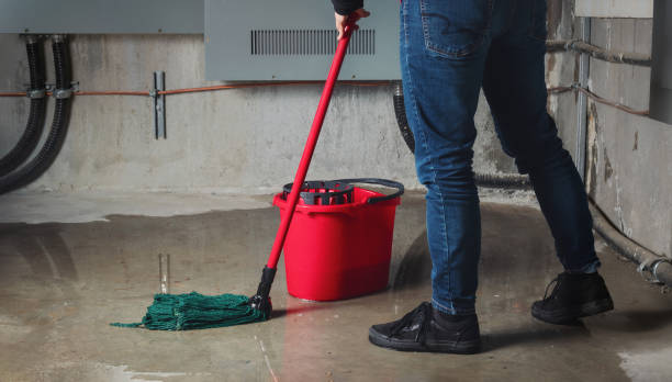 Best Professional water damage repair  in Bethlehem, WV