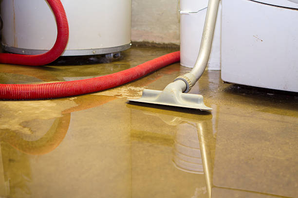 Best Flood damage cleanup  in Bethlehem, WV