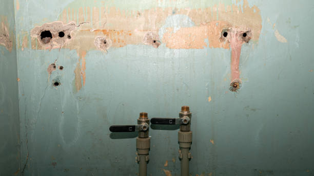 Best Mold removal after water damage  in Bethlehem, WV