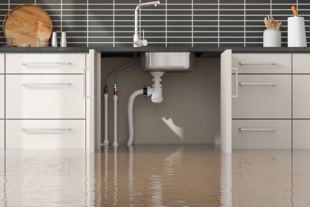 Best Residential water damage restoration  in Bethlehem, WV