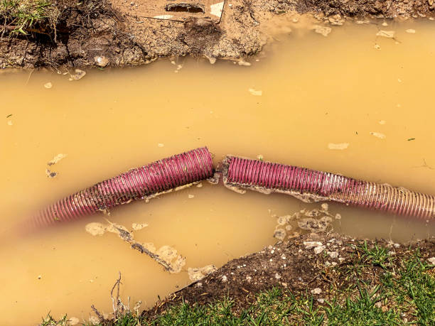 Best Mold removal after water damage  in Bethlehem, WV